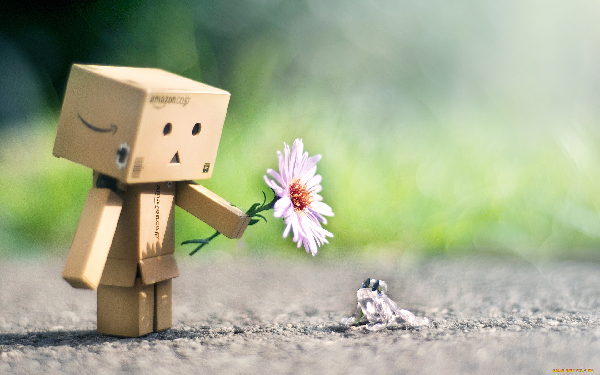 , , danboard